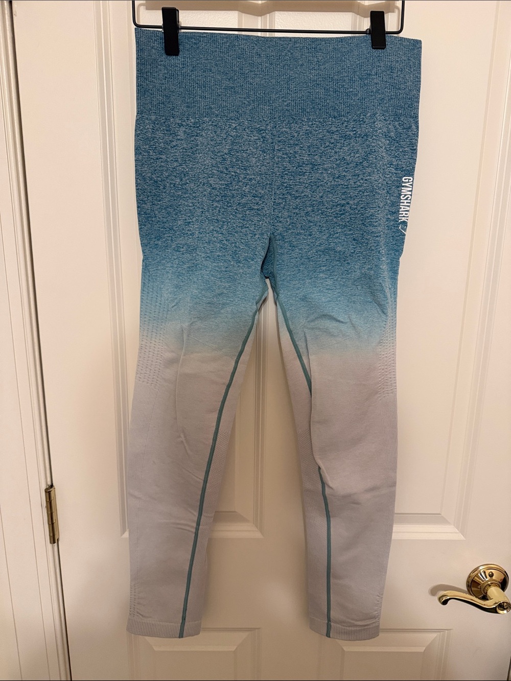 Gymshark Blue to Gray Ombre Seamless Leggings